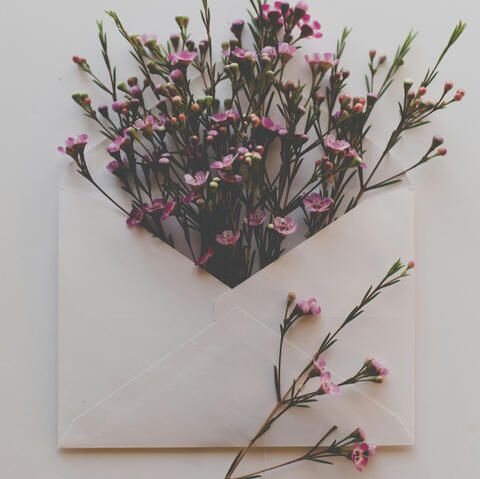 Photo by Sixteen Miles Out on Unsplash
